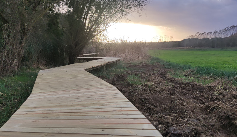 Passarel·la de fusta