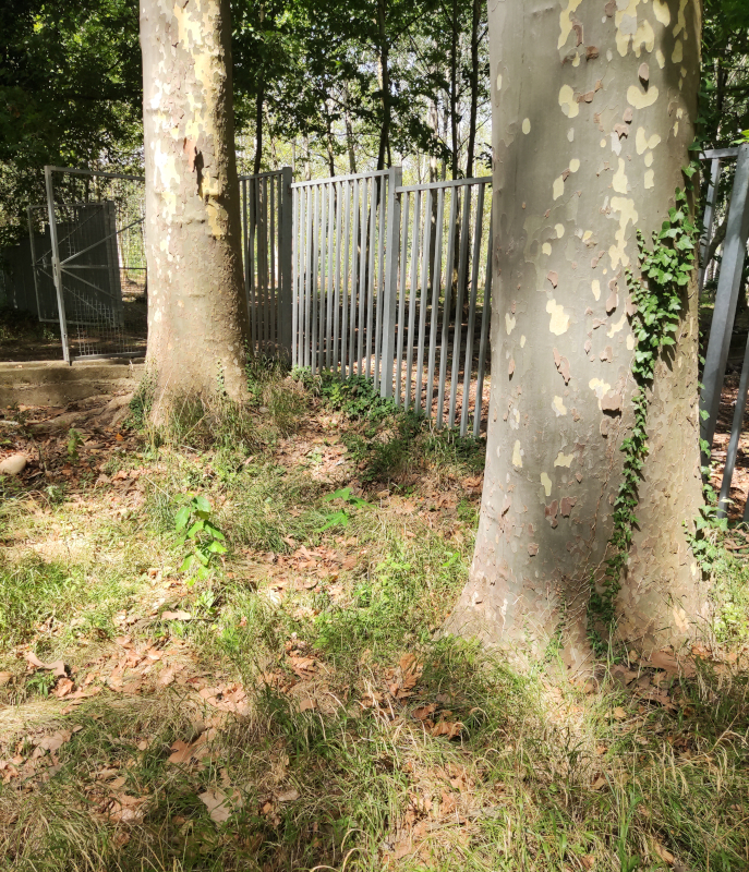 Projecte Devesa N. Xifra